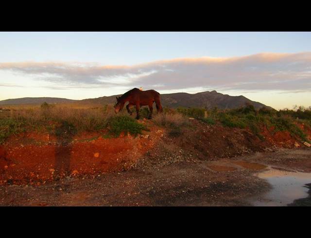 LAND FOR SALE IN FISHERHAVEN